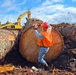 Honker Heli Timber Sale Log Scaling Inspection