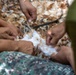 Multiple pairs of hands are engaged in plucking feathers from a bird carcass. The activity appears to be communal food preparation, with several people working together to remove feathers from what appears to be a poultry bird. A large quantity of brown and white feathers is scattered across the ground surface beneath the workers.