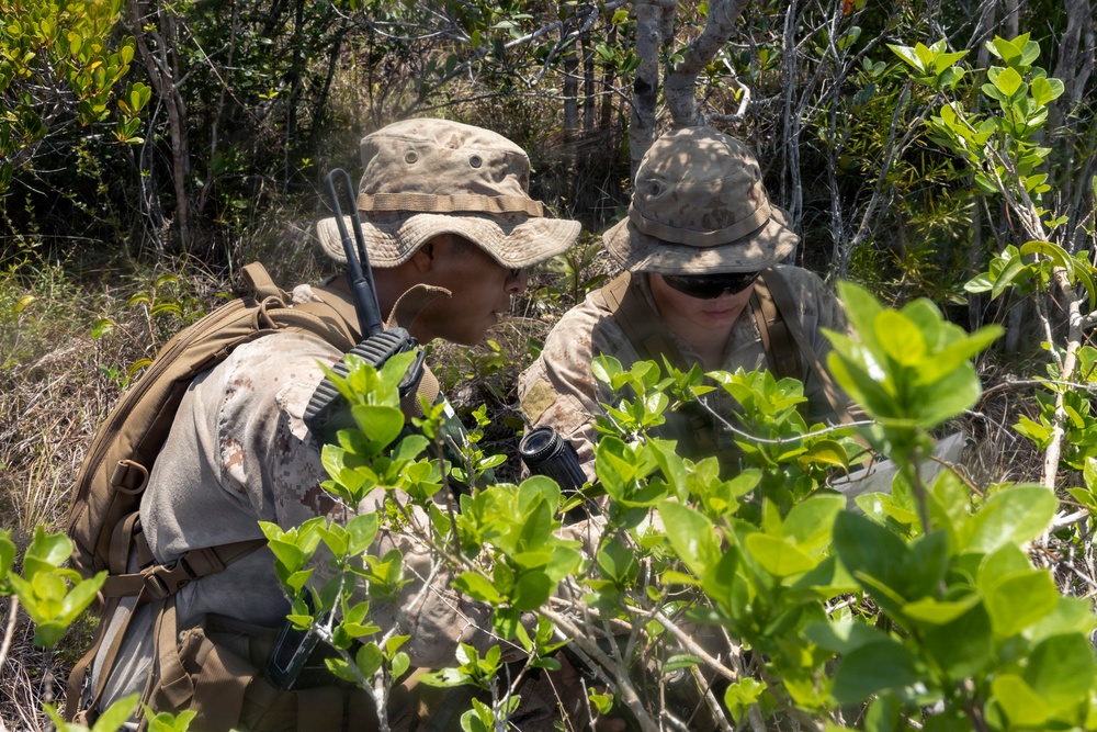 3rd Littoral Combat Team Marines patrol during Tactical Small Units Leaders Course