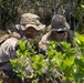 3rd Littoral Combat Team Marines patrol during Tactical Small Units Leaders Course
