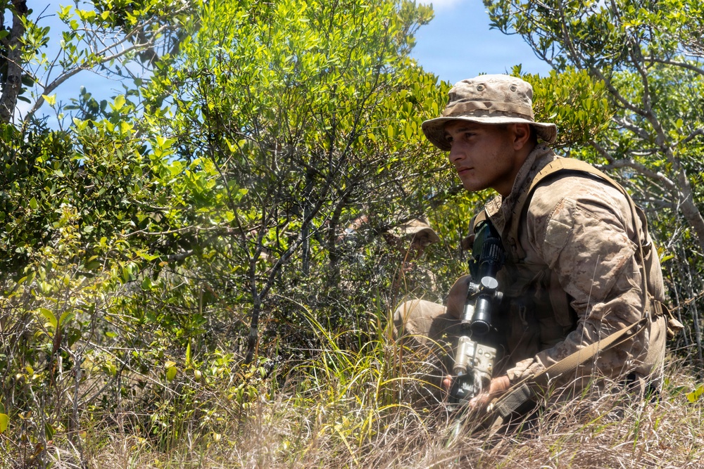 3rd Littoral Combat Team Marines patrol during Tactical Small Units Leaders Course