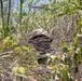 3rd Littoral Combat Team Marines patrol during Tactical Small Units Leaders Course