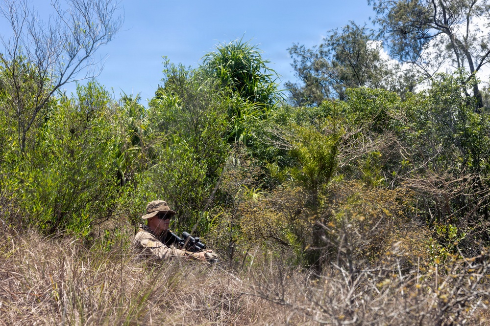 3rd Littoral Combat Team Marines patrol during Tactical Small Units Leaders Course