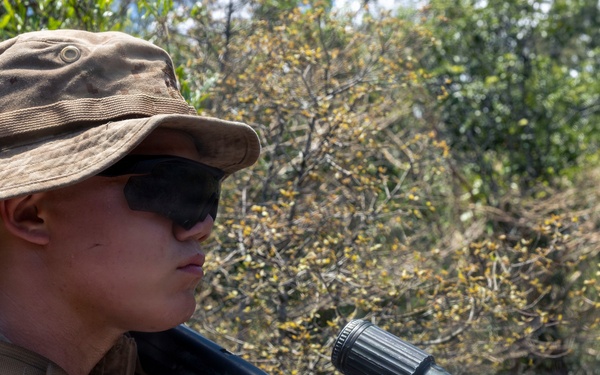 3rd Littoral Combat Team Marines patrol during Tactical Small Units Leaders Course
