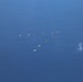 U.S., Japanese aircraft fly in formation during Valiant Shield 2026