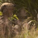 U.S. Marines Conduct Airfield Seizure During KAMANDAG 10