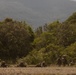 U.S. Marines Conduct Airfield Seizure During KAMANDAG 10