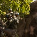 U.S. Marines Conduct Airfield Seizure During KAMANDAG 10