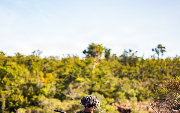 3rd Littoral Combat Team Marines conduct ambush patrols during Tactical Small Unit Leaders Course