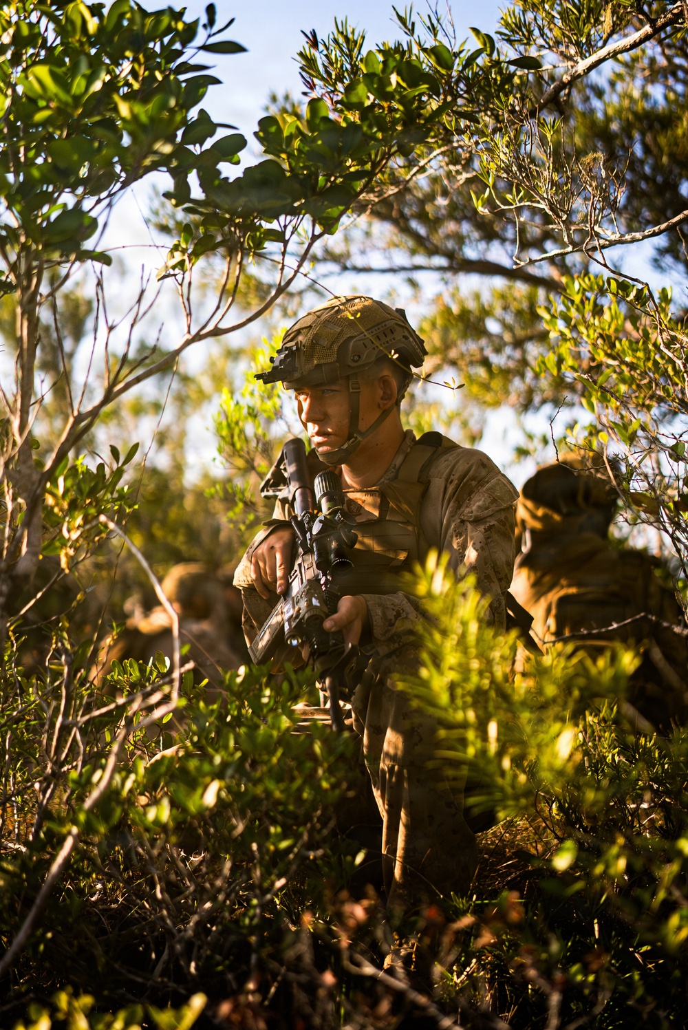 3rd Littoral Combat Team Marines conduct ambush patrols during Tactical Small Unit Leaders Course