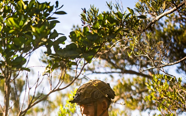 3rd Littoral Combat Team Marines conduct ambush patrols during Tactical Small Unit Leaders Course