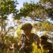 3rd Littoral Combat Team Marines conduct ambush patrols during Tactical Small Unit Leaders Course
