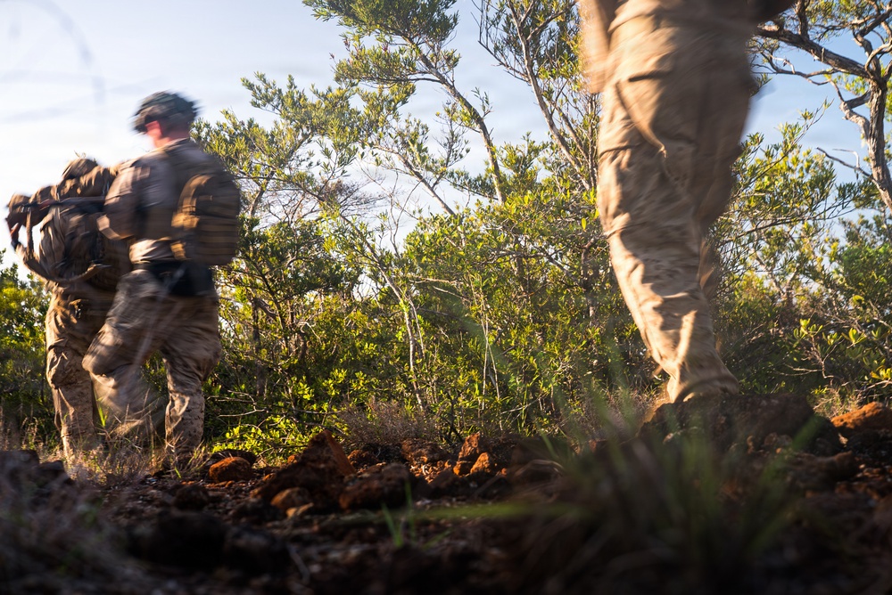 3rd Littoral Combat Team Marines conduct ambush patrols during Tactical Small Unit Leaders Course
