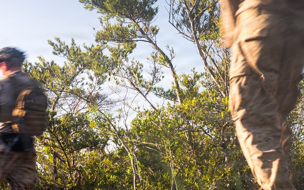3rd Littoral Combat Team Marines conduct ambush patrols during Tactical Small Unit Leaders Course