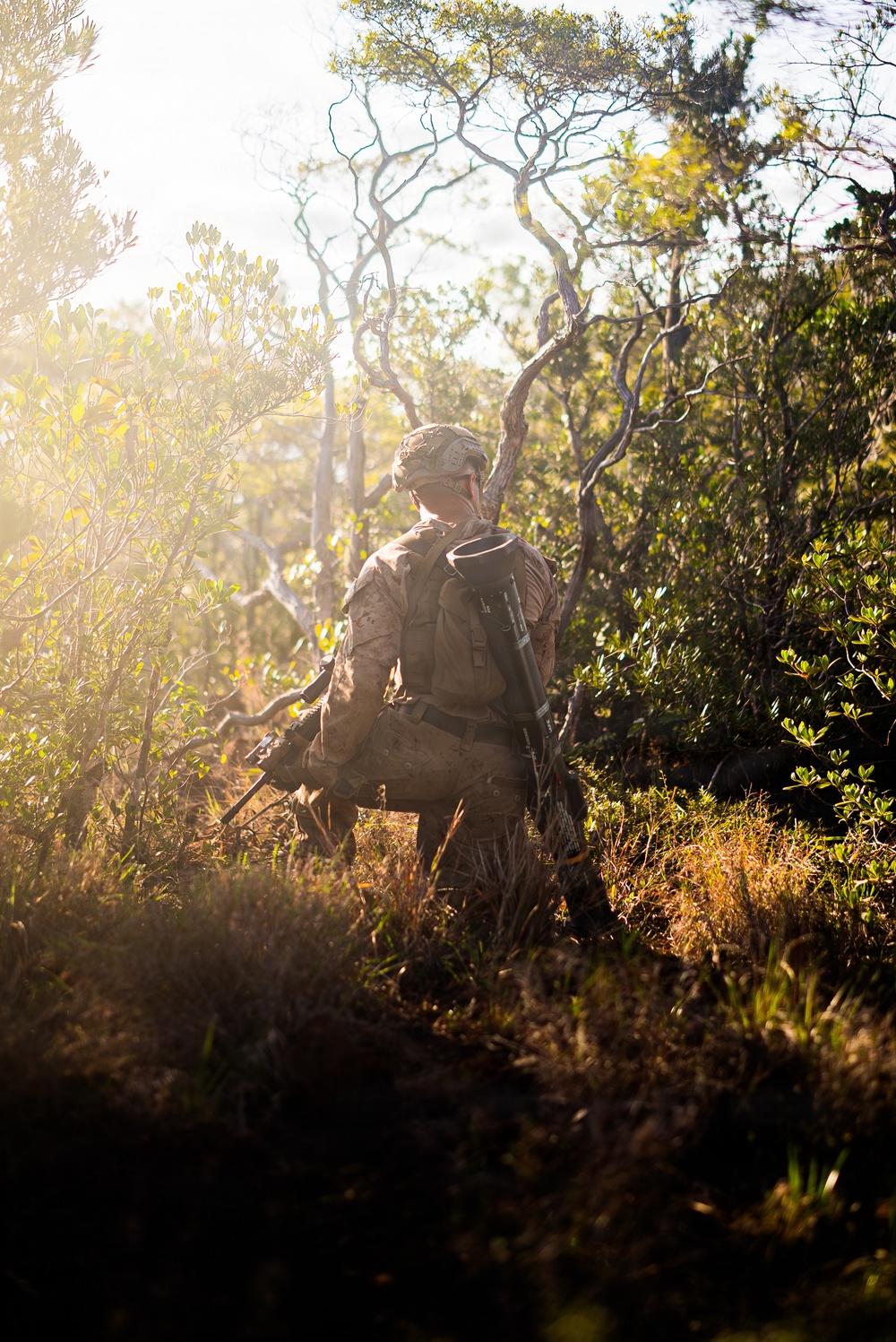 3rd Littoral Combat Team Marines conduct ambush patrols during Tactical Small Unit Leaders Course