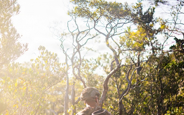 3rd Littoral Combat Team Marines conduct ambush patrols during Tactical Small Unit Leaders Course
