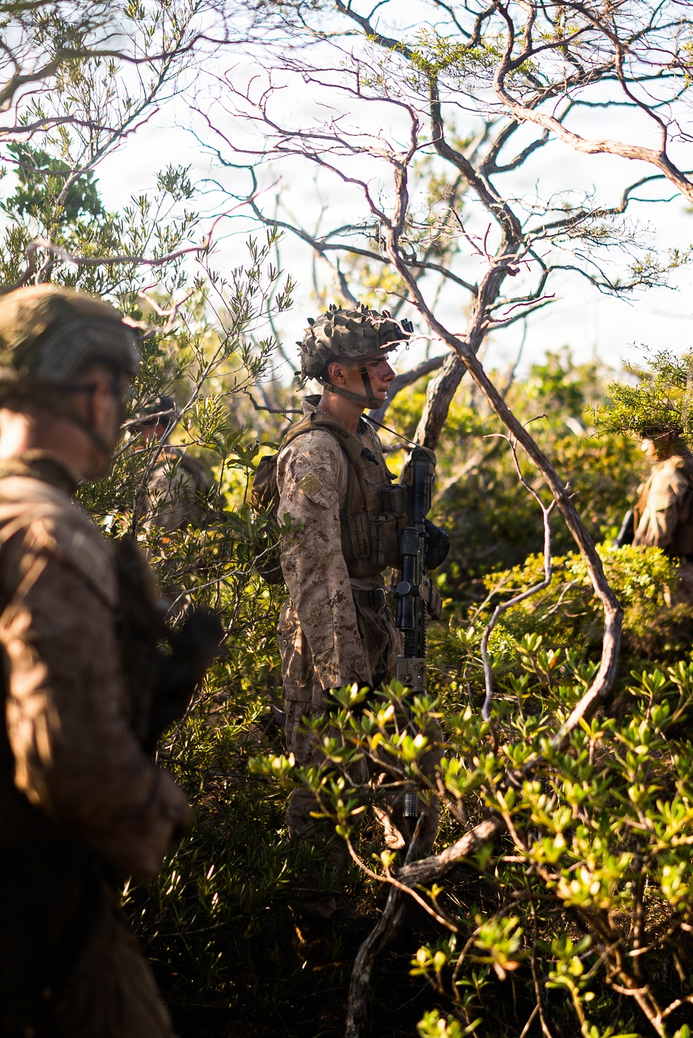 3rd Littoral Combat Team Marines conduct ambush patrols during Tactical Small Unit Leaders Course