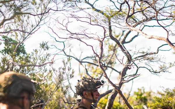 3rd Littoral Combat Team Marines conduct ambush patrols during Tactical Small Unit Leaders Course