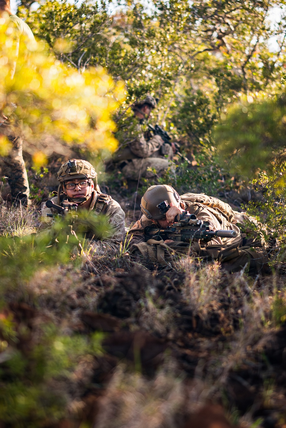 3rd Littoral Combat Team Marines conduct ambush patrols during Tactical Small Unit Leaders Course