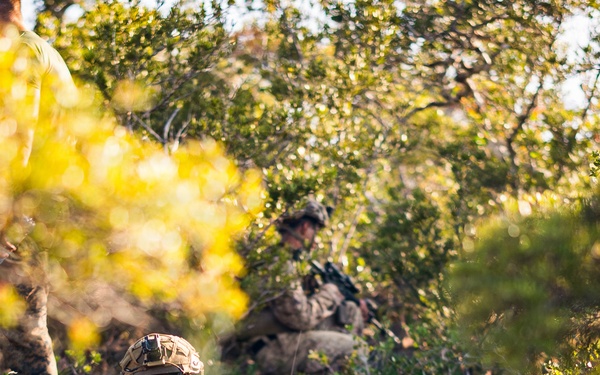 3rd Littoral Combat Team Marines conduct ambush patrols during Tactical Small Unit Leaders Course