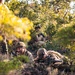 3rd Littoral Combat Team Marines conduct ambush patrols during Tactical Small Unit Leaders Course
