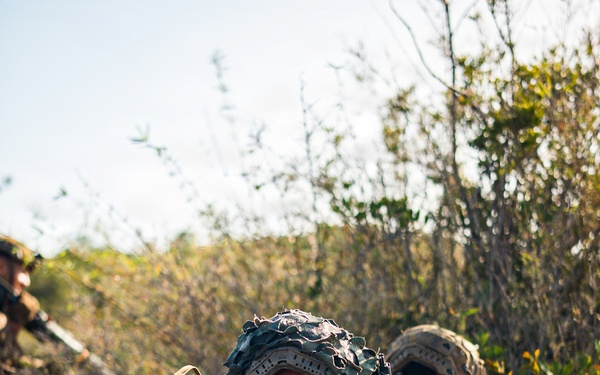 3rd Littoral Combat Team Marines conduct ambush patrols during Tactical Small Unit Leaders Course