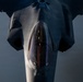 KC-135 supports security operations with F-35 aerial refueling