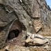 Fort Knox Post Cemetery, Main Post Chapel assessed for future masonry repairs