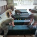 Ramstein munitions experts prepare guided missile stockpiles for shipment
