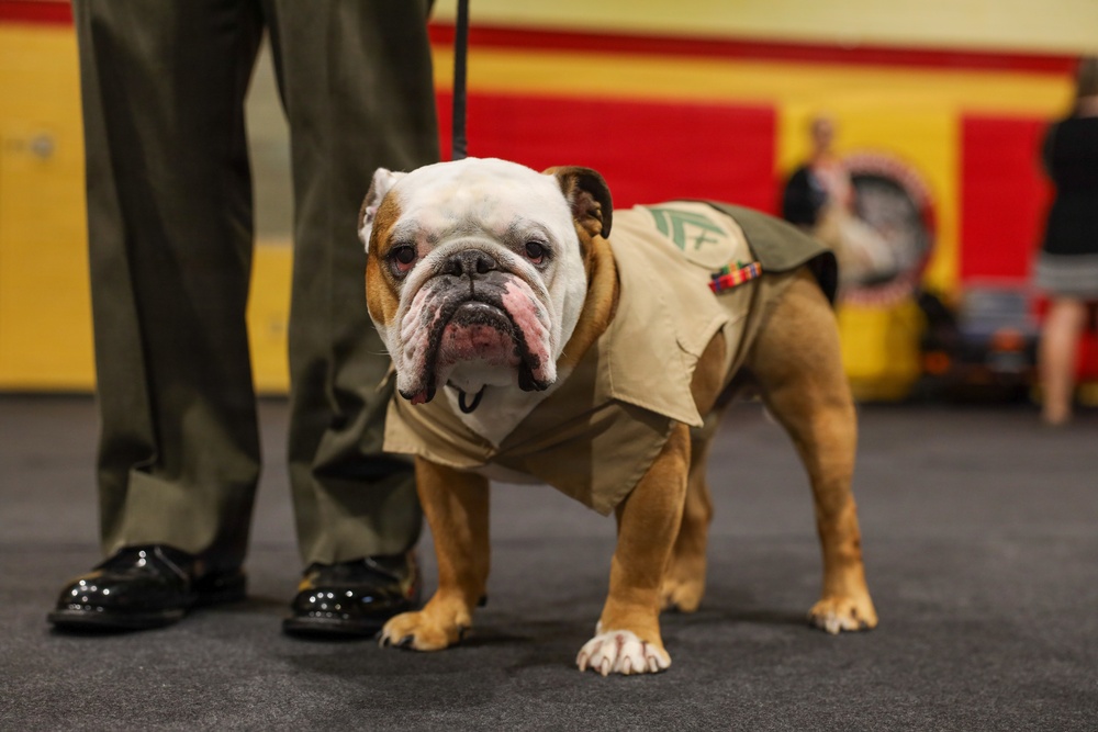 16th Annual Oorah Run Series: Chesty’s 5k
