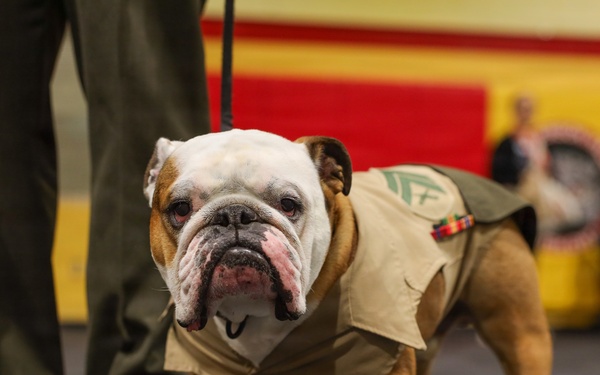 16th Annual Oorah Run Series: Chesty’s 5k