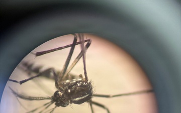NAMRU SOUTH Tracks the Tiger Mosquito Invasion