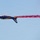 Patrouille de France demo team prepares for Liberté 250 over Joint Base Andrews