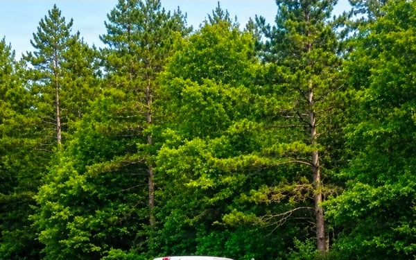 Fort McCoy continues comprehensive invasive species management program supporting Army readiness, regional partnerships
