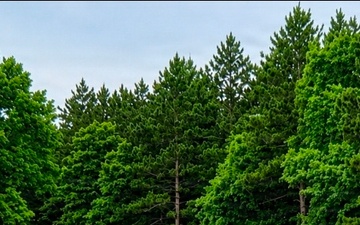 Fort McCoy continues comprehensive invasive species management program supporting Army readiness, regional partnerships