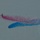 Royal Air Force at SAIL250