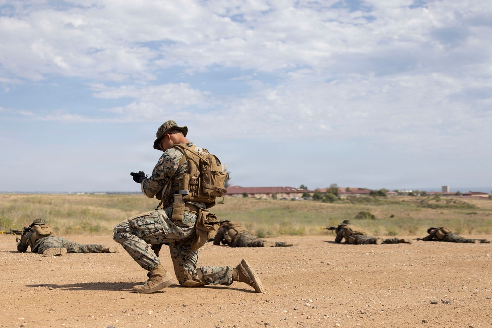 U.S. Marines with 3d Assault Amphibian Battalion conduct PEX