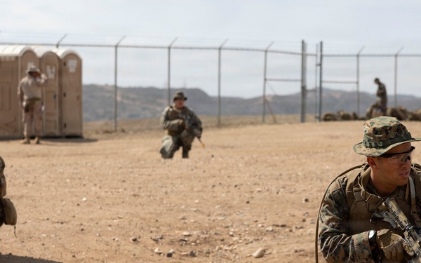 U.S. Marines with 3d Assault Amphibian Battalion conduct PEX