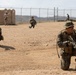 U.S. Marines with 3d Assault Amphibian Battalion conduct PEX