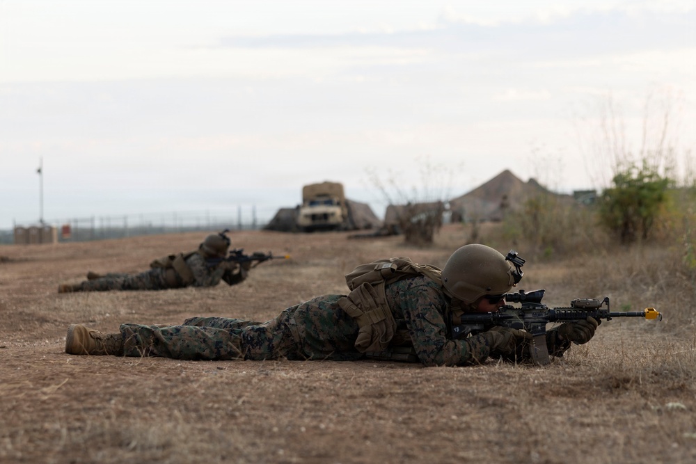 U.S. Marines with 3d Assault Amphibian Battalion conduct PEX