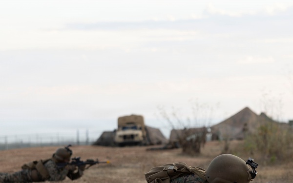 U.S. Marines with 3d Assault Amphibian Battalion conduct PEX
