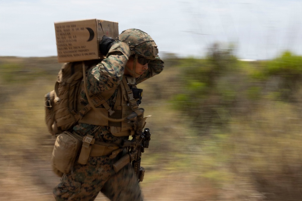 U.S. Marines with 3d Assault Amphibian Battalion conduct PEX