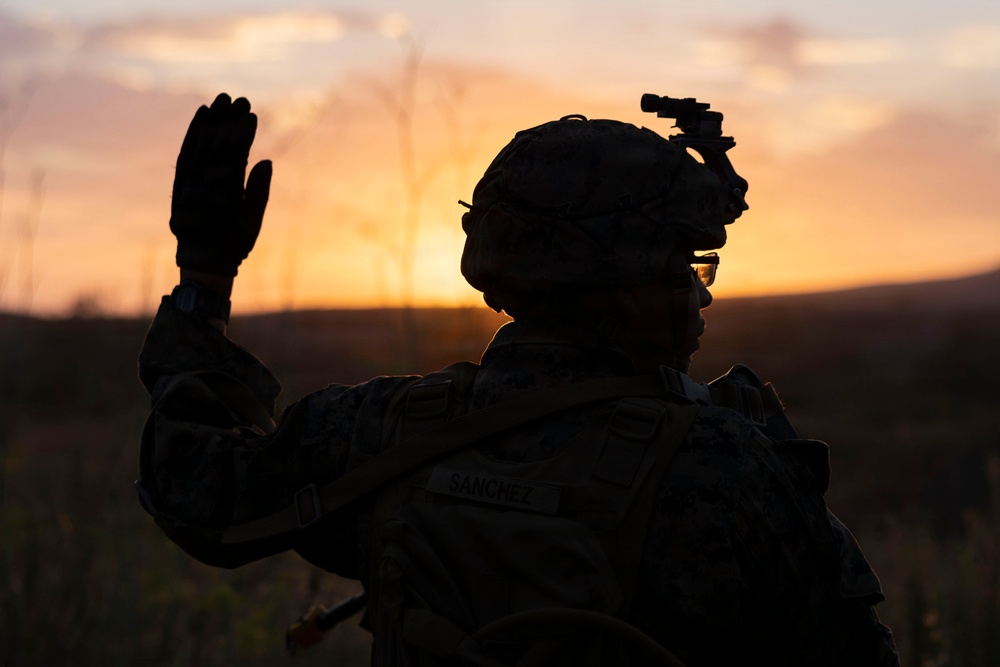 U.S. Marines with 3d Assault Amphibian Battalion conduct PEX