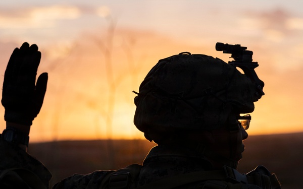 U.S. Marines with 3d Assault Amphibian Battalion conduct PEX