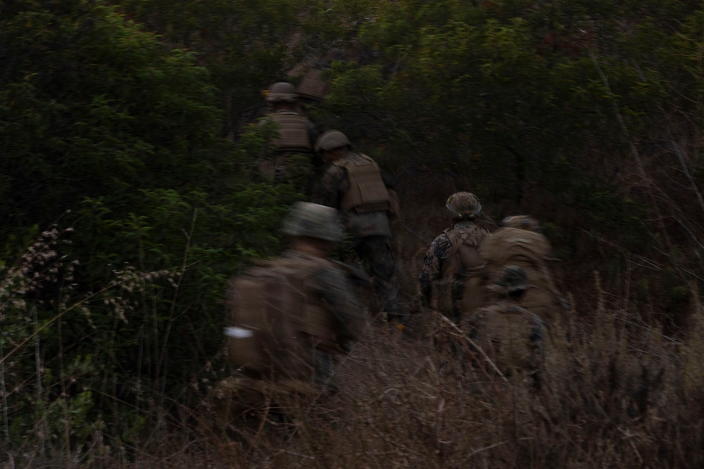 U.S. Marines with 3d Assault Amphibian Battalion conduct PEX