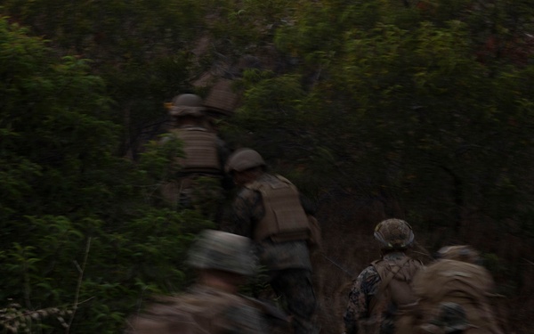 U.S. Marines with 3d Assault Amphibian Battalion conduct PEX