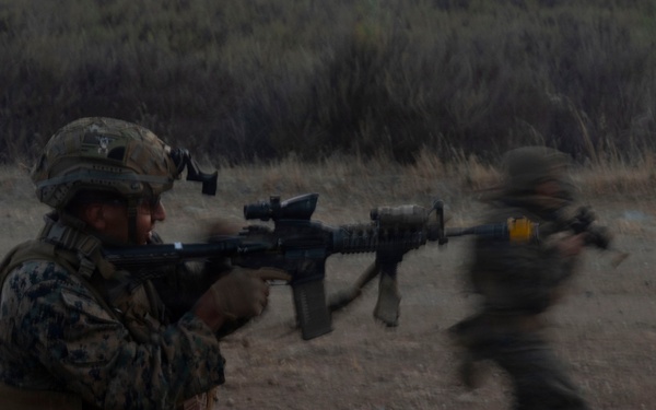 U.S. Marines with 3d Assault Amphibian Battalion conduct PEX