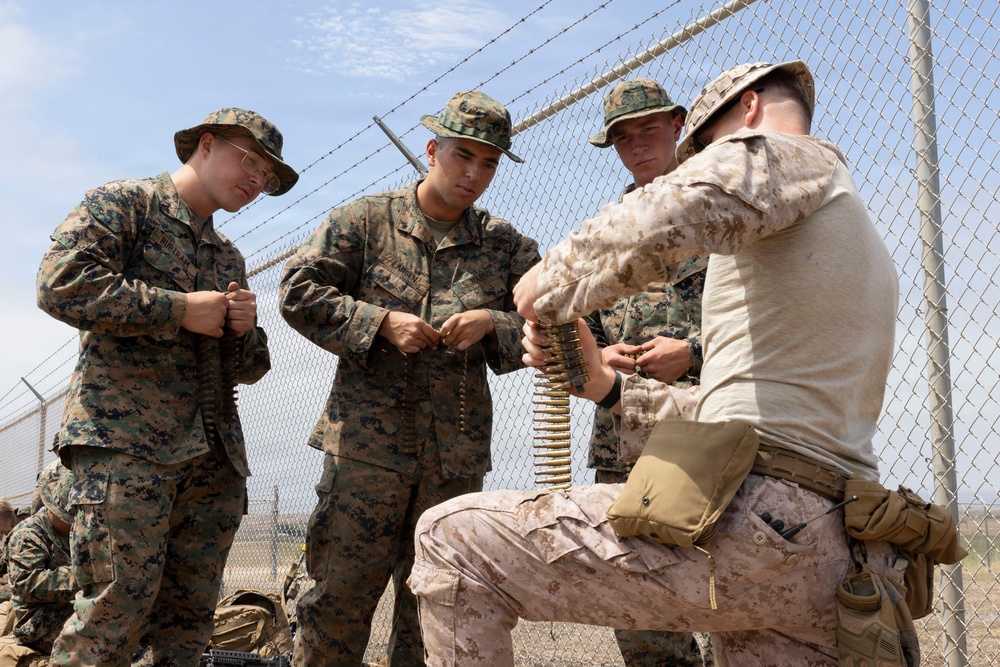 U.S. Marines with 3d Assault Amphibian Battalion conduct PEX