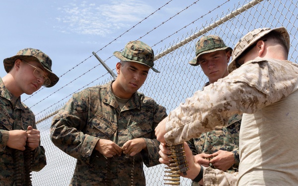 U.S. Marines with 3d Assault Amphibian Battalion conduct PEX