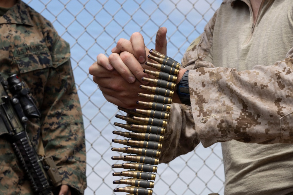 U.S. Marines with 3d Assault Amphibian Battalion conduct PEX